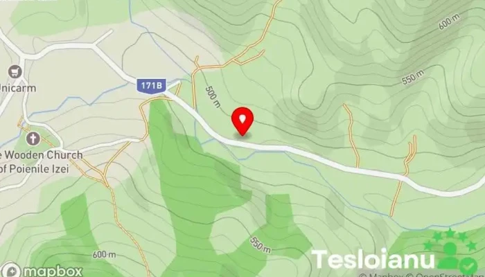 hartă a Ion de la Cruce Bed & Breakfast în Poienile Izei
