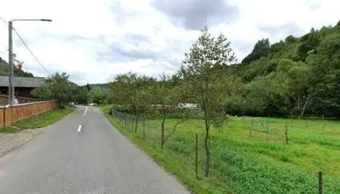 Ion De La Cruce -  Street View Si 360deg - Poienile Izei