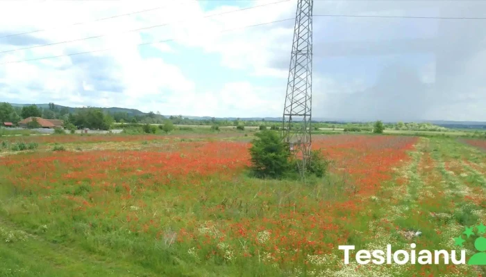 Ionești - Ionești