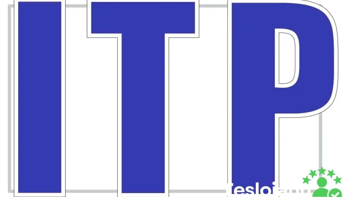 Itp Bolo -    Statie Inspectie Auto De La Proprietar - Vicovu De Sus