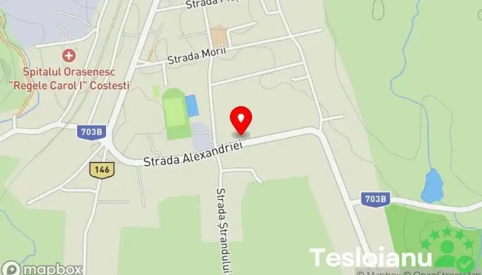 hartă a Itp Costesti Argeș - Auto Global Solution Punct de inspecție auto în Costești