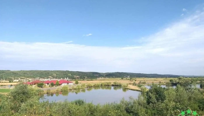Izvoare - Izvoare