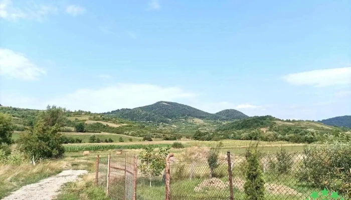 Jabeniţa - Jabeniţa