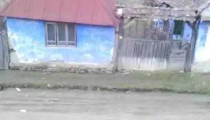 Jacu - Jacu