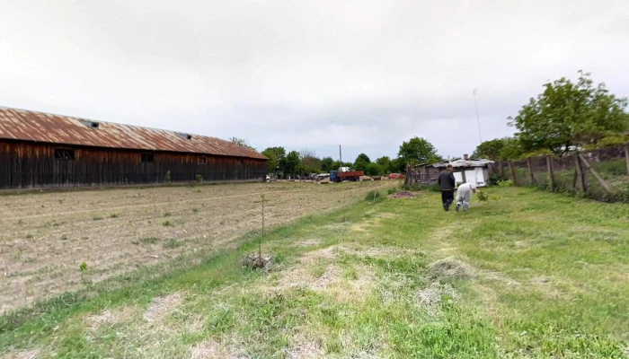 Jaristea Street View Si 360deg - Jariștea