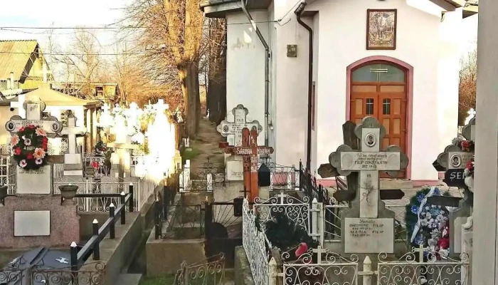 Jaristea Videoclipuri - Jariștea