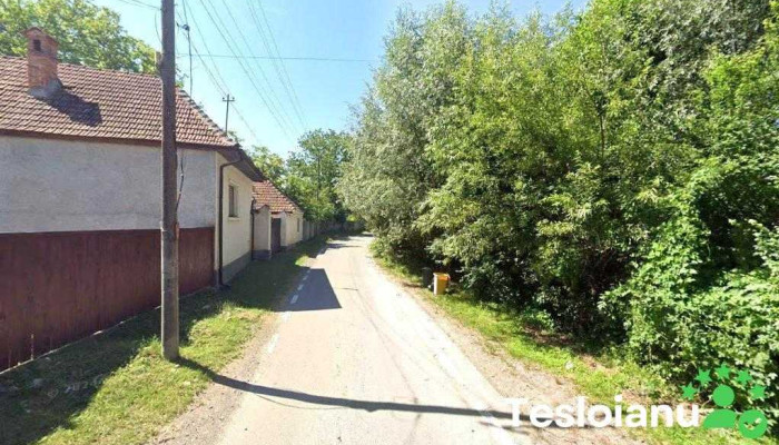 Kevin cel ma bun mecanic - Șercăița 507204