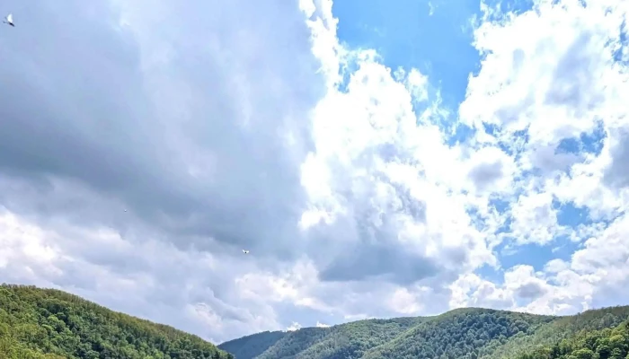 La Casute Reduceri - Șuncuiuș