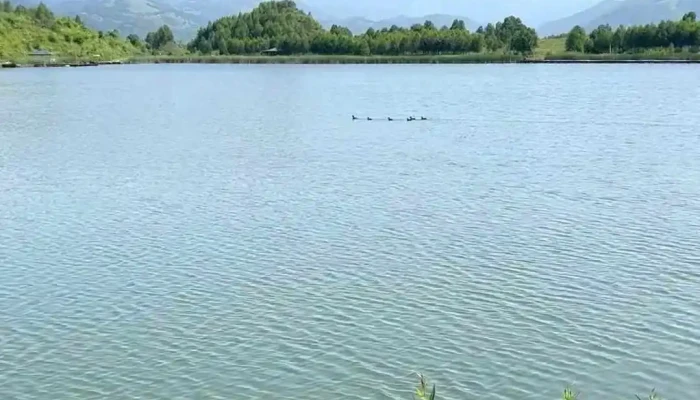 La Lac Maleia -  De La Proprietar - Petrila