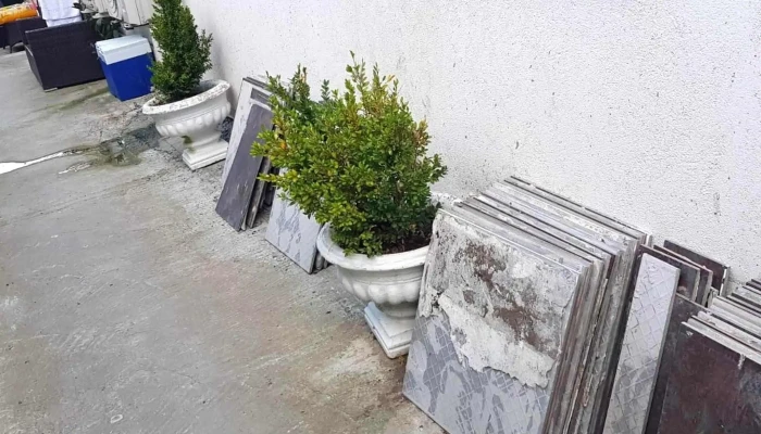 La Misu -  Adresă - Mamaia-sat
