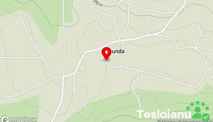 hartă a La Neamțu Service auto în Rotunda