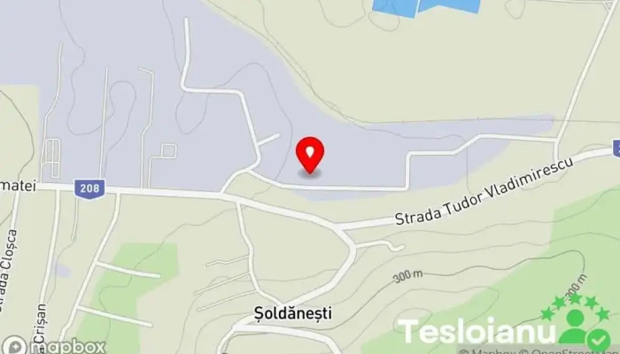 hartă a La Nedelcu Vopsitorie auto în Șoldănești