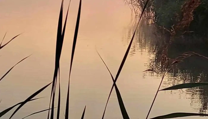 Lac Iernut -  Videoclipuri - Iernut
