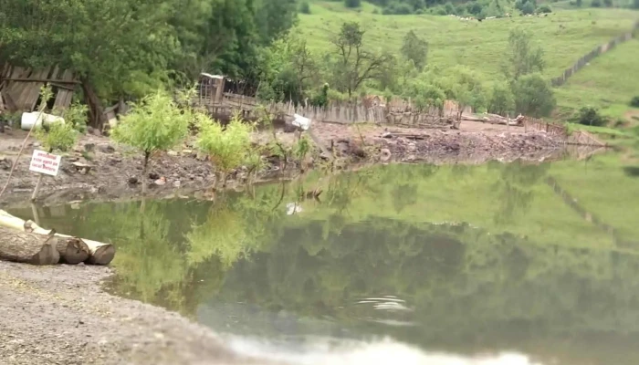 Lac Lostrita Deforu Aproape De Mine - Petrila