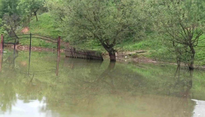 Lac Lostrita Deforu Comentarii - Petrila