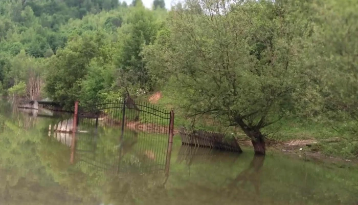 Lac Lostrita Deforu Promoție - Petrila