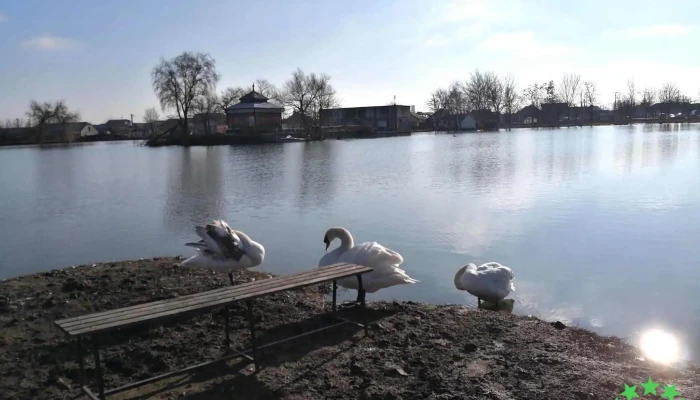 Lac - Sânnicolau Mare 305600