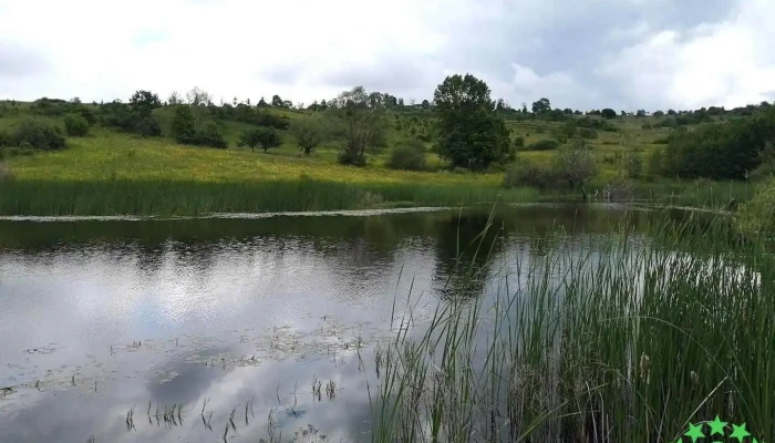 Lac Suncuius - Romania