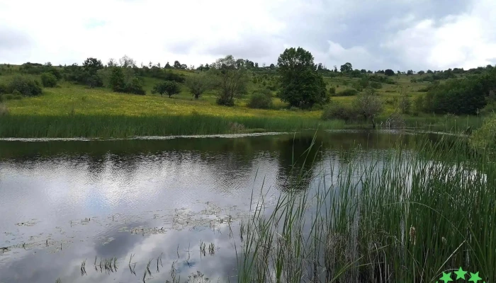 Lac Suncuius -  Site Web - Romania