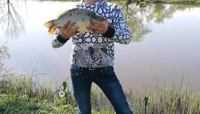 Lac Sura Mica -  Peste - Șura Mică