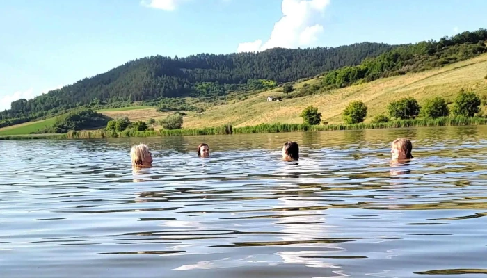 lac Toldal - Dj153B