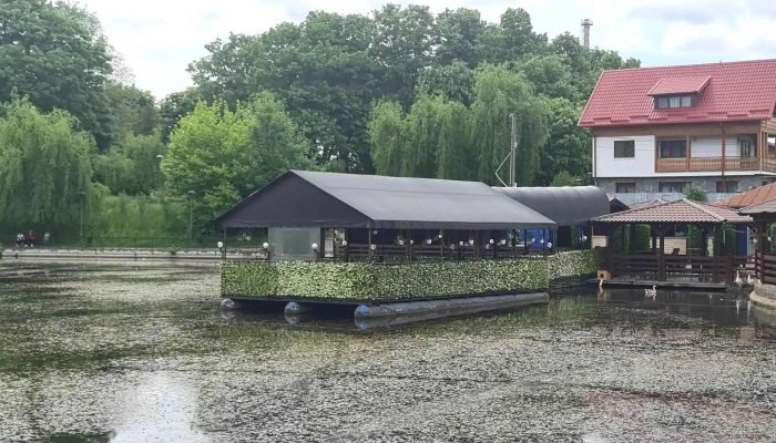 Lacul Bisericii -  Adresă - Câmpina