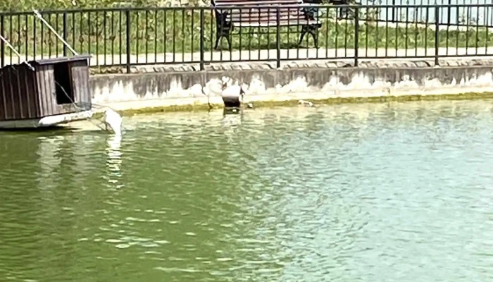 Lacul Bisericii -  Scor - Câmpina