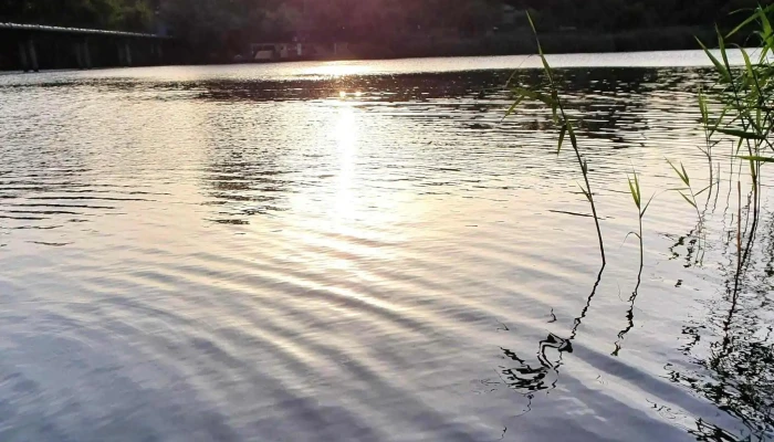 Lacul Catusa Reduceri - Galați