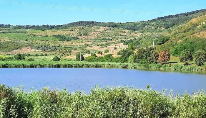 Lacul Culpiu -  Deschis Acum - Romania