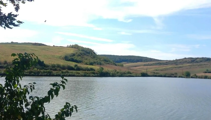 Lacul Culpiu -  Prețuri - Romania