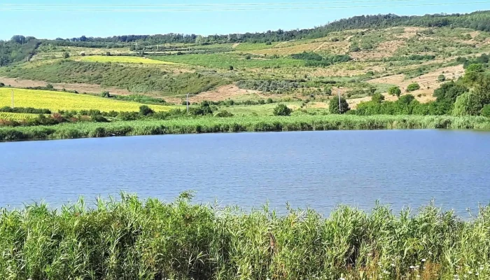 Lacul Culpiu -  Zonă - Romania