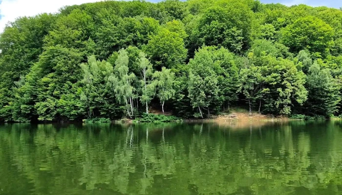 Lacul De Acumulare Firiza -  Recenzii - Romania