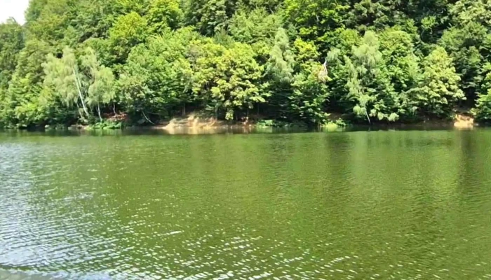 Lacul De Acumulare Firiza -  Scor - Romania