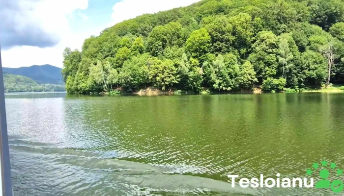 Lacul De Acumulare Firiza -  Videoclipuri - Romania