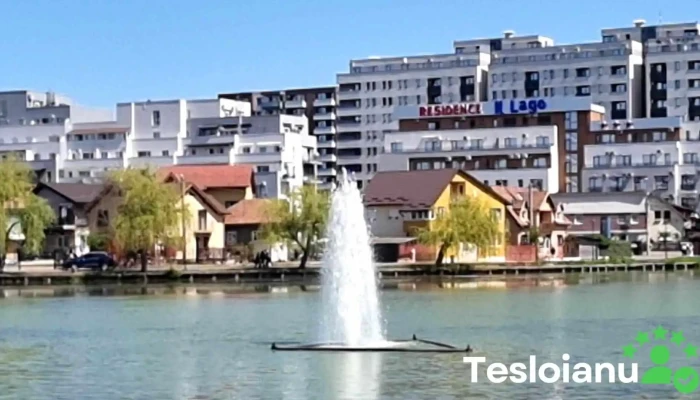 Lacul Gheorgheni -  Cele Mai Recente - Cluj-napoca