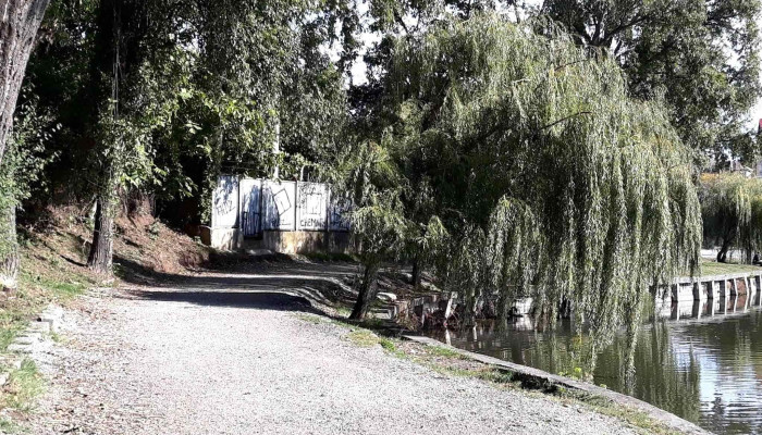 Lacul Gheorgheni -  Zonă - Cluj-napoca