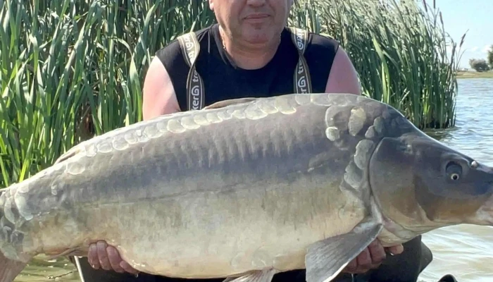 Lacul Horgesti -  Reduceri - Horgești