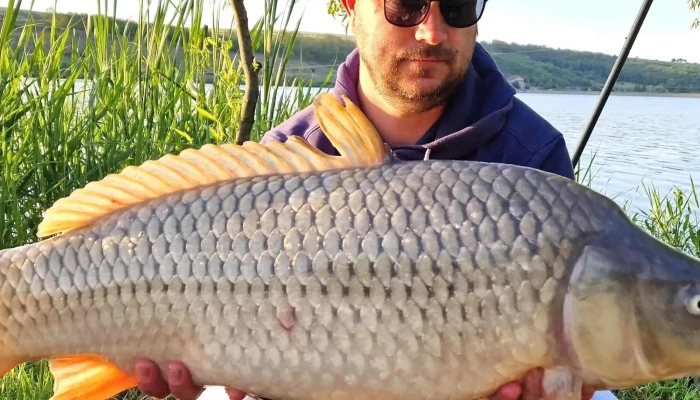 Lacul Horgesti -  Zonă - Horgești