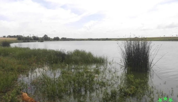 Lacul Livada - România
