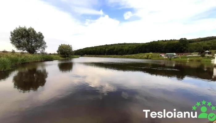 Lacul Mitoc 1 -  Telefon - Romania