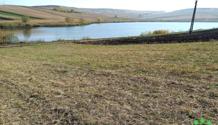Lacul Moara Carp -  Reduceri - Romania