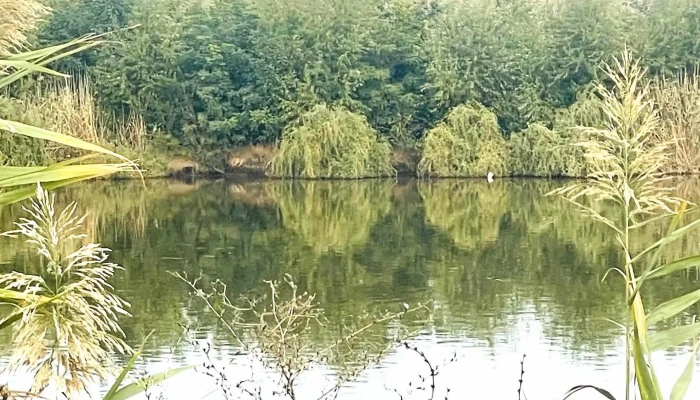 Lacul Nucetu -  Comentarii - Nucetu