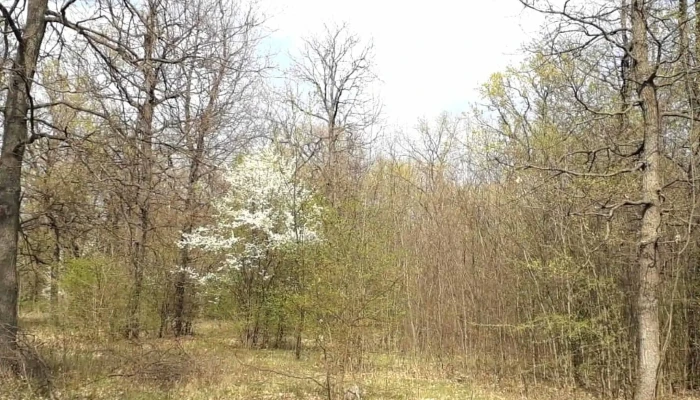 Lacul Pantelimon -  Cum Să Ajungi Acolo - Pantelimon