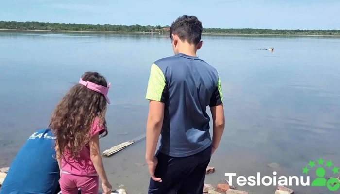 Lacul Sarat Videoclipuri - Romania