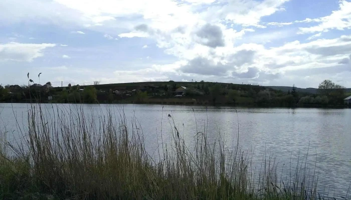 Lacul Suatu -  Adresă - Romania