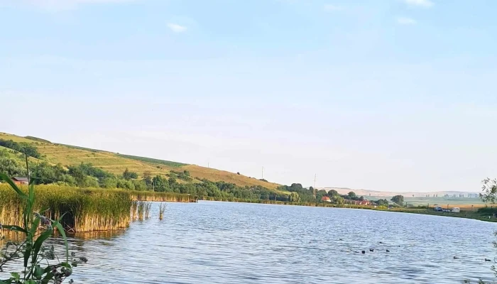 Lacul Sub Padure Adresă - Mărtinești