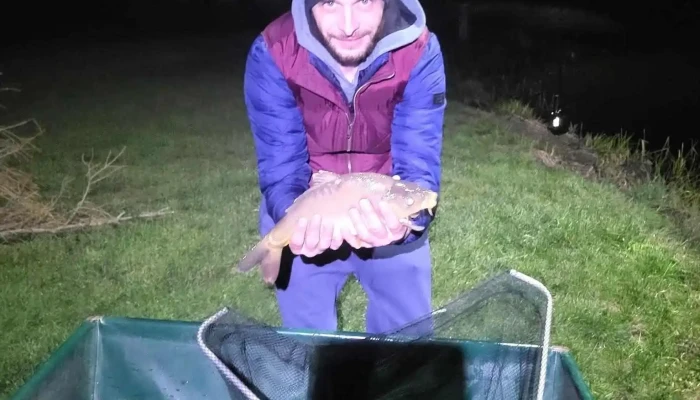Lacul Sub Padure Cele Mai Recente - Mărtinești