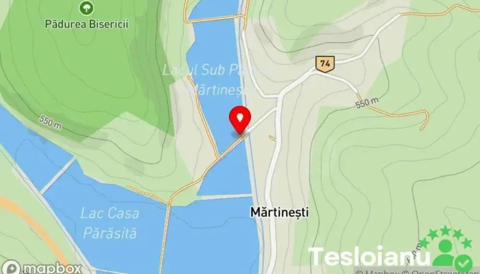 hartă a Lacul Sub Pădure Lac de pescuit în Mărtinești