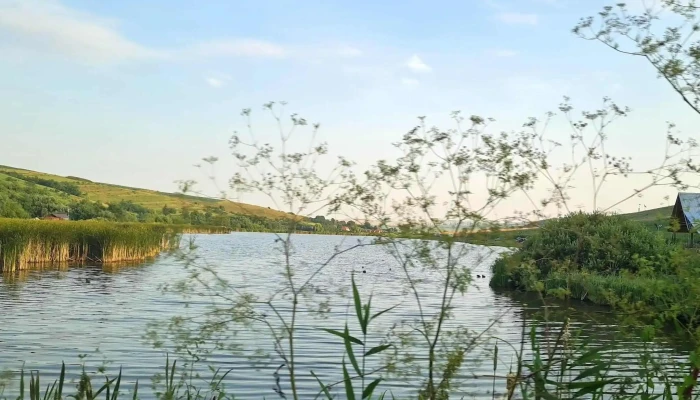 Lacul Sub Padure Program - Mărtinești
