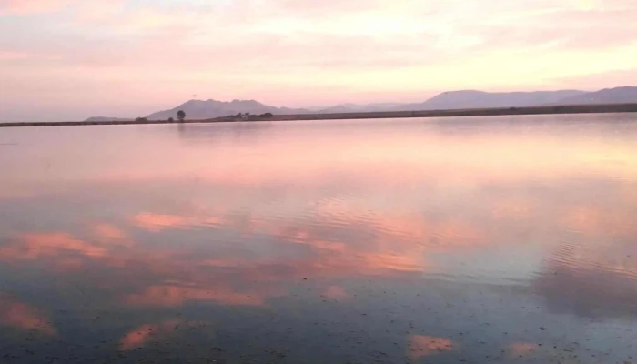 Lacul Traian -  Catalog - Romania